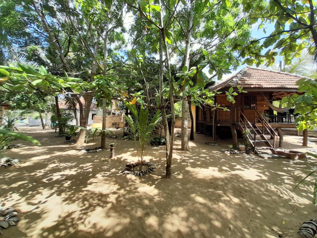 Golden Beach Chalets Arugam Bay Eksteriør billede