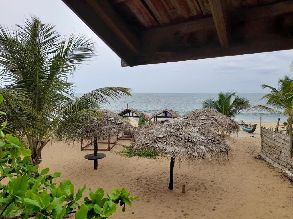 Golden Beach Chalets Arugam Bay Eksteriør billede